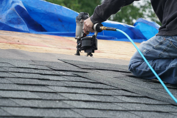 Professional Roofing Contractor in Carver, MN